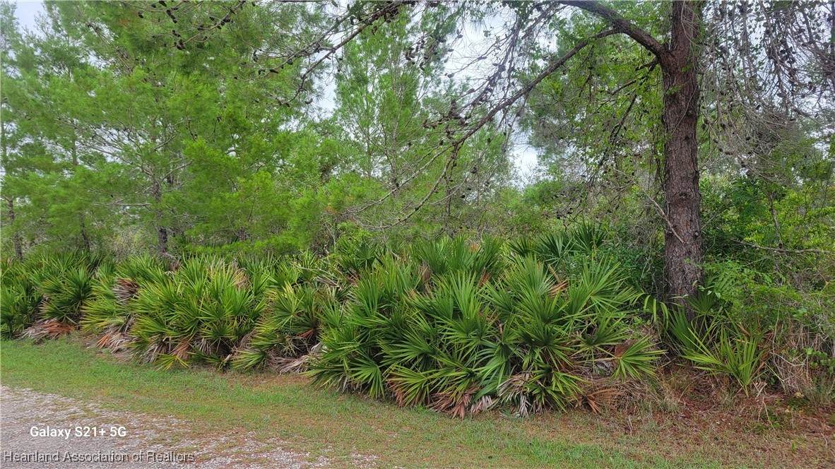 3217 Savannah Sparrow Avenue - Photo 1