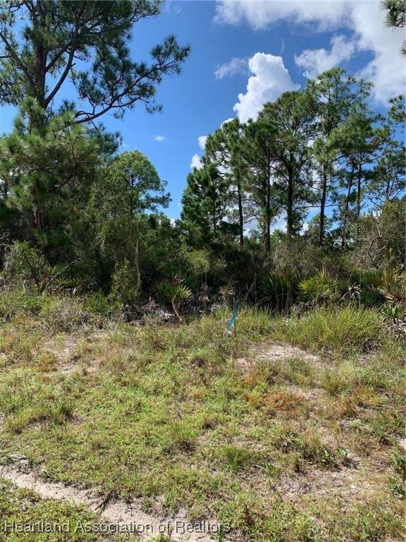 1148 Wildflower Street - Photo 1