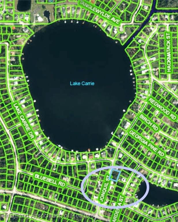 1007 Jonquil Street - Photo 1