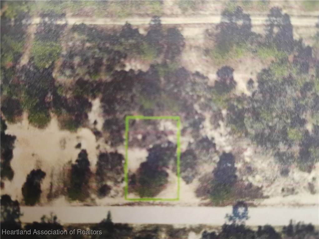 426 Blue Moon Avenue - Photo 1