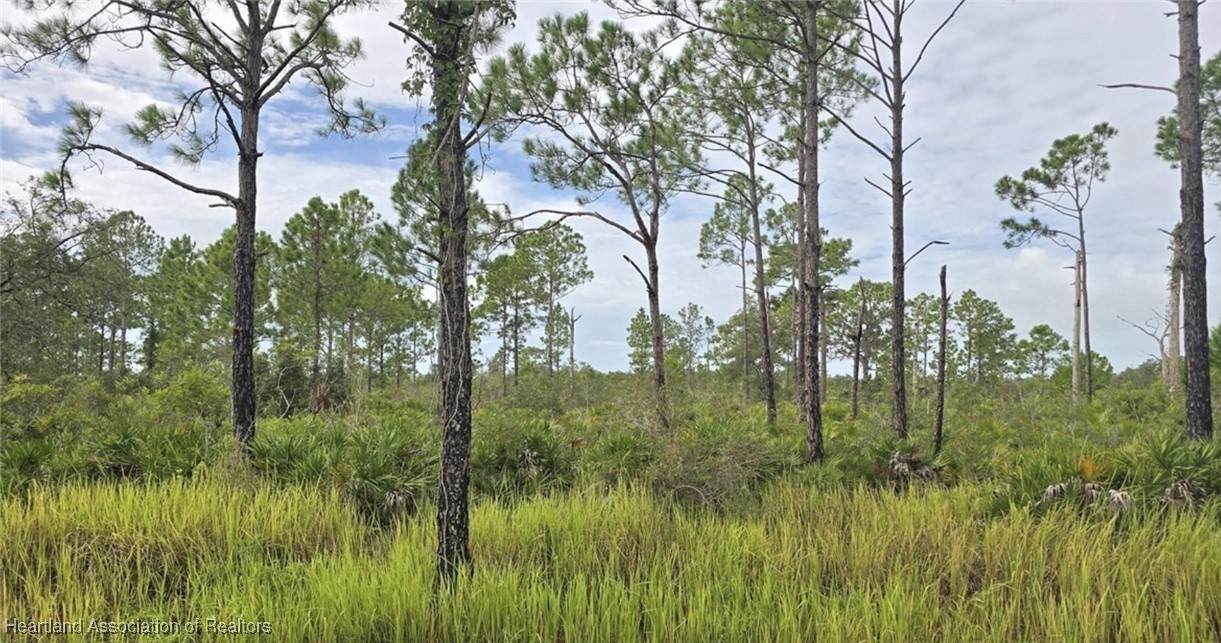 7931 Tiziano Drive - Photo 1