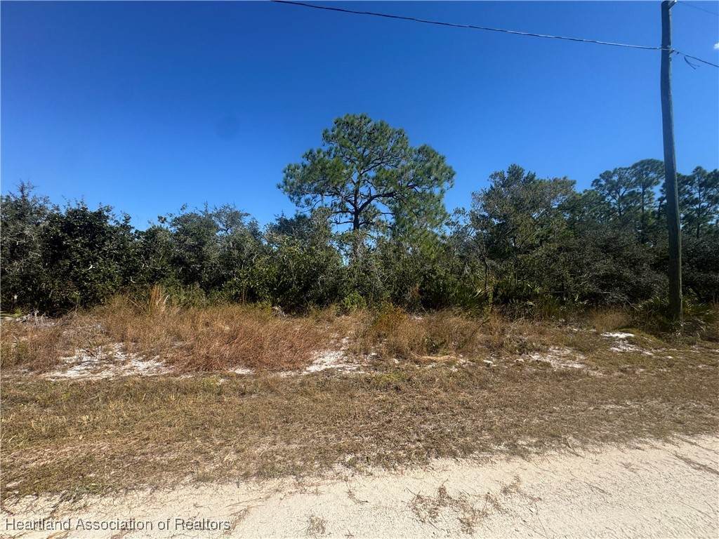 1203 Cockatoo Avenue - Photo 1