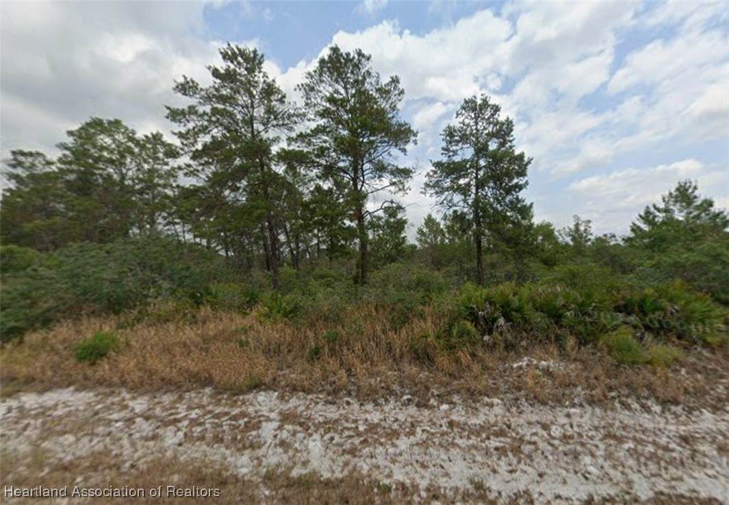 7624 Altara Street - Photo 1