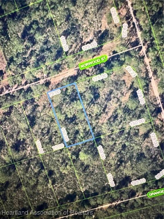 1017 Norwood Street - Photo 1