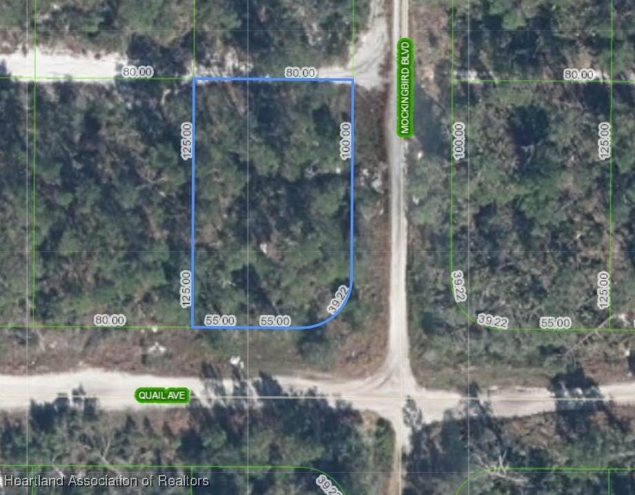601 Mockingbird Boulevard - Photo 1