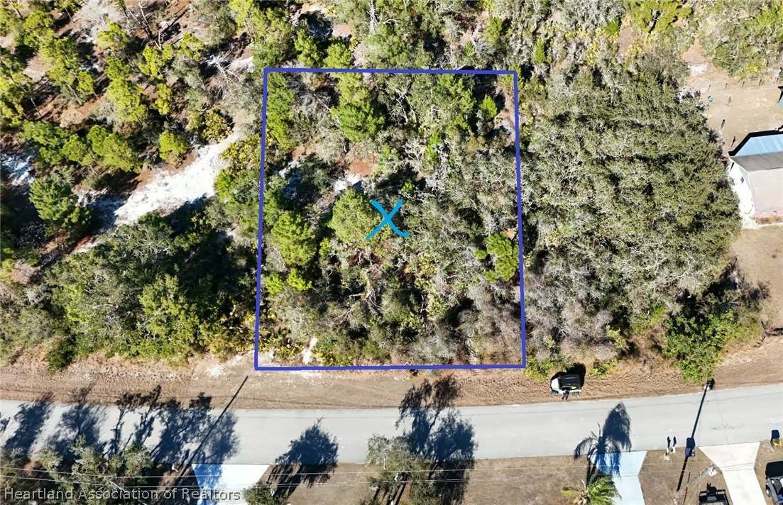 3045 Georgia Pine Road - Photo 1