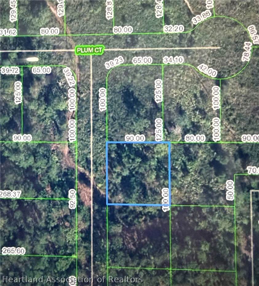 4702 Rhubarb Street - Photo 1