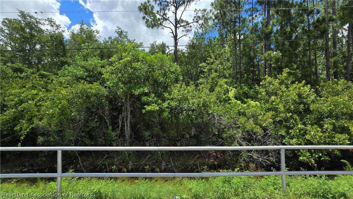 2157 Hammock Road - Photo 1