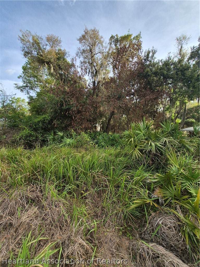 8021 Istokpoga Street - Photo 1
