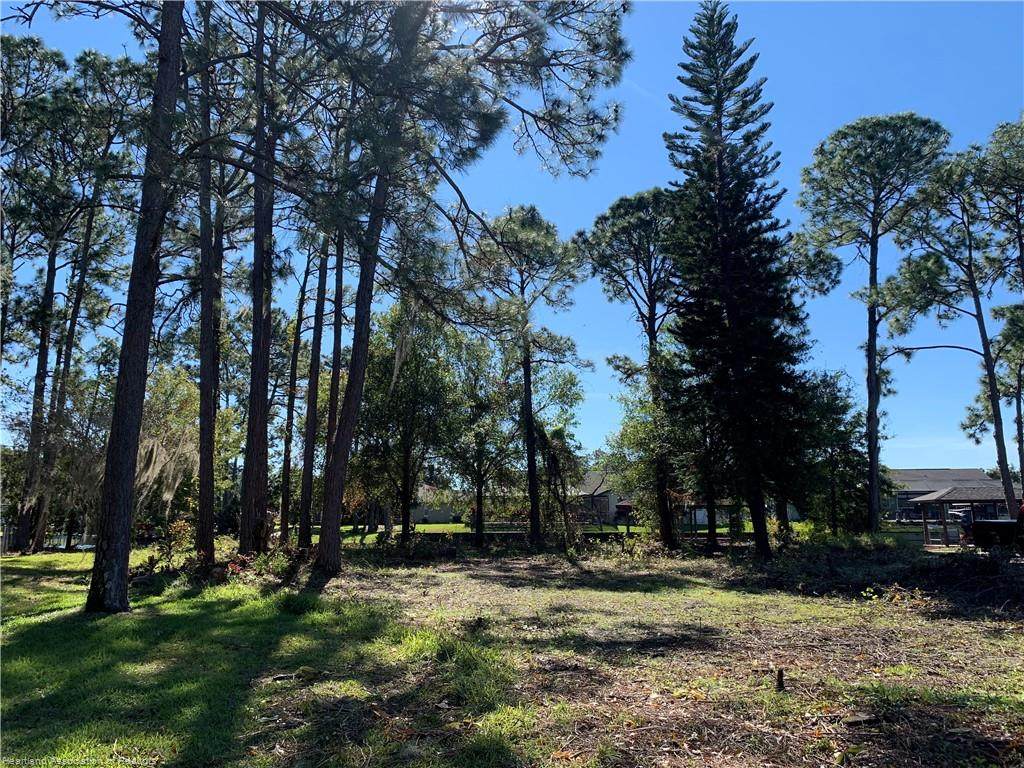 3002 Jacaranda Avenue - Photo 1