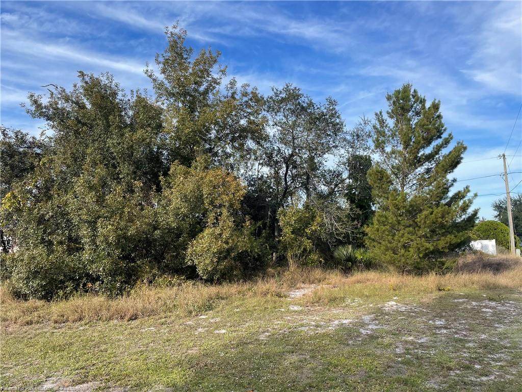 237 Lemon Road - Photo 1