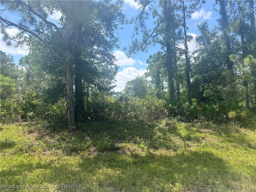 8411 Barquera Drive - Photo 1