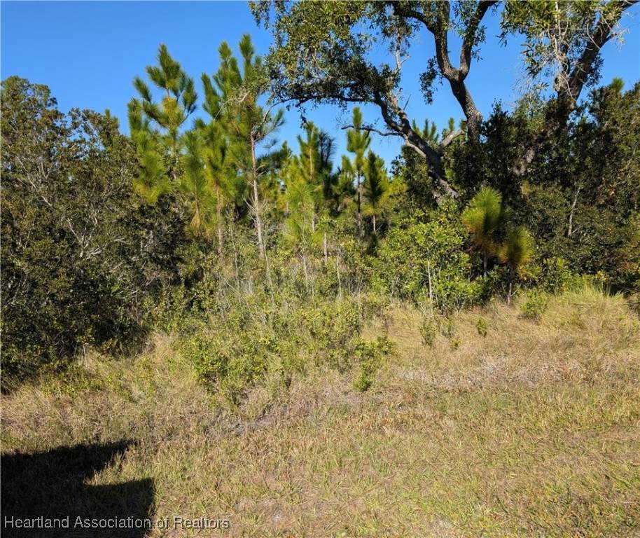 0 Tropicana Drive - Photo 1