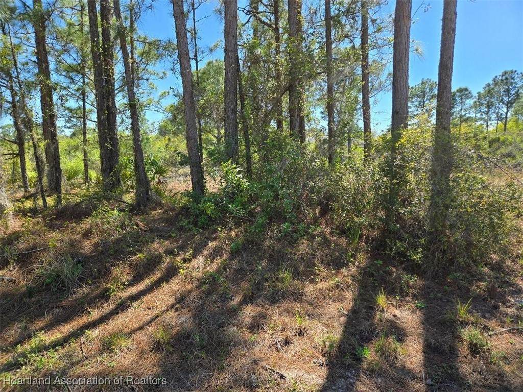 279 Blue Moon Avenue - Photo 1