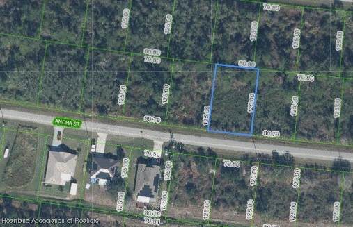 7950 Ancha Street - Photo 1