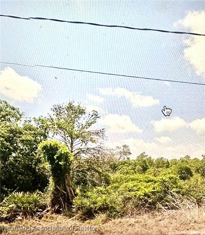 2015 Alan Street - Photo 1