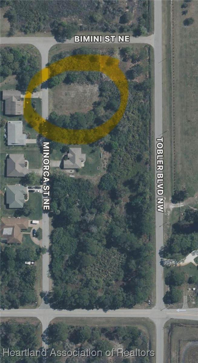 113 Minorca Street - Photo 1