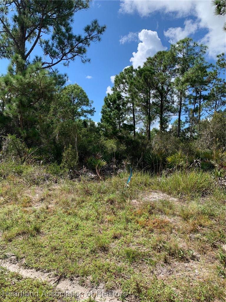 1148 Wildflower Street - Photo 1