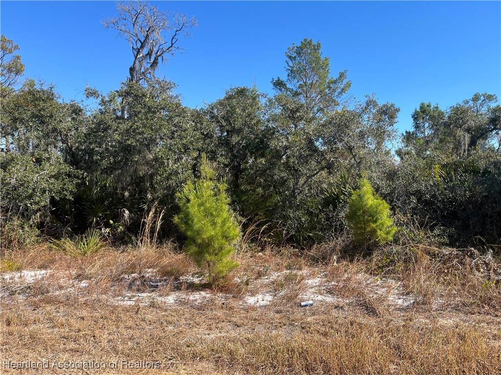 111 Dartmoor Avenue - Photo 1