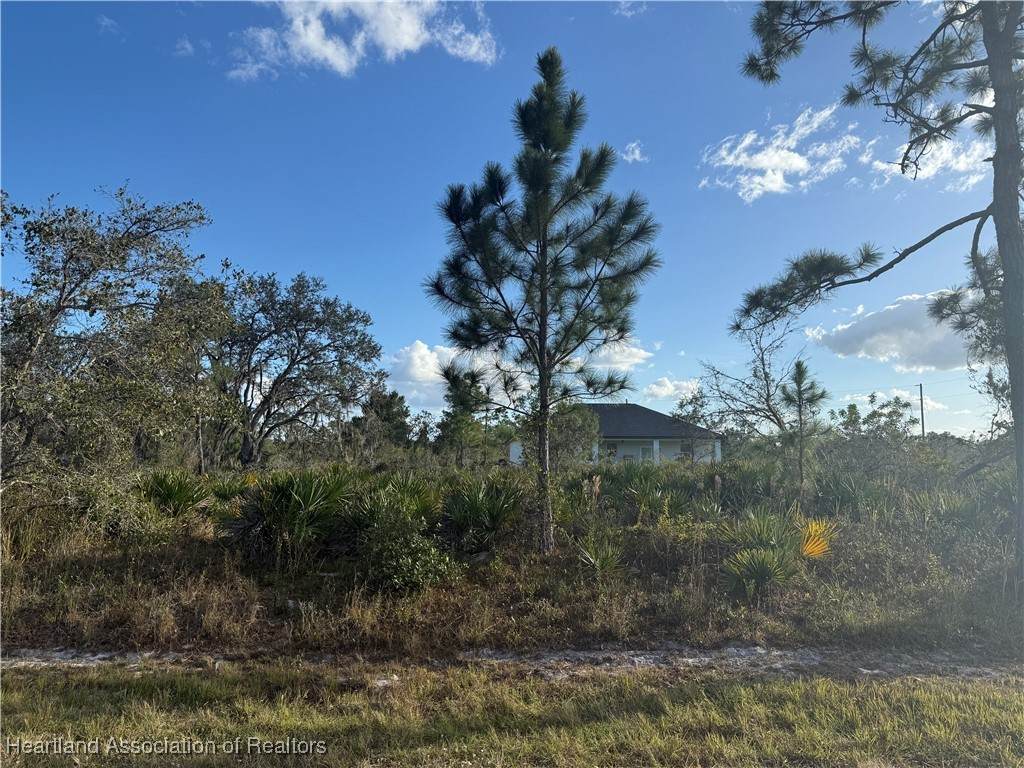 7537 Domenico Street - Photo 1