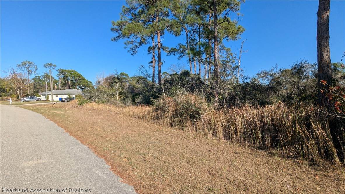 738 Star Fruit Avenue - Photo 1