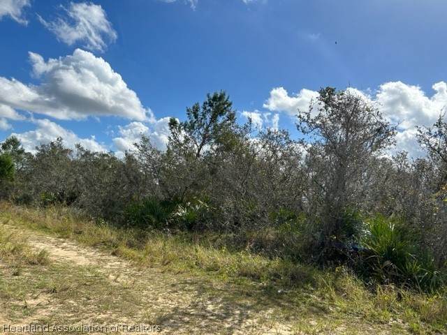 2981 Gaffney Road - Photo 1