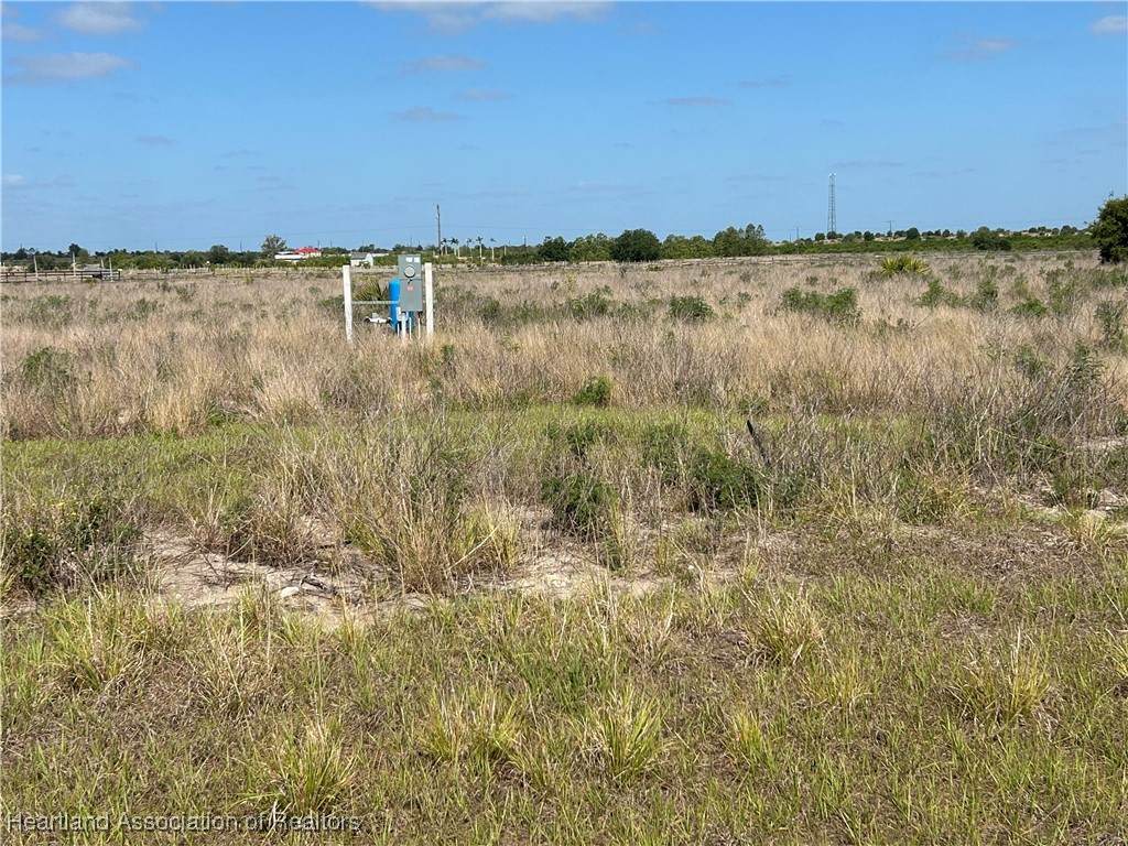 6219 Farmgirl Avenue - Photo 1