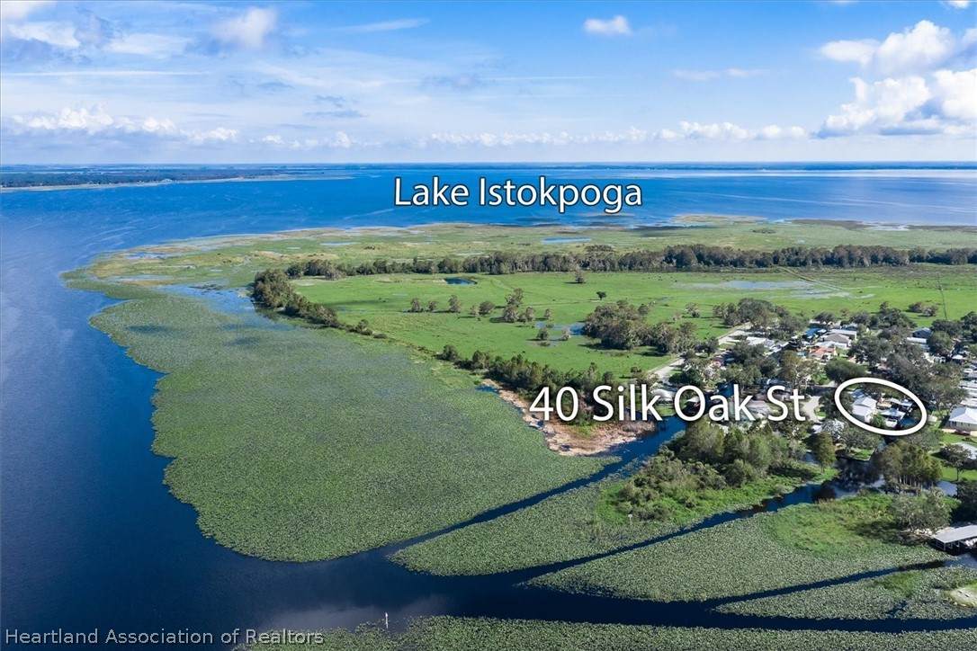 40 Silk Oak Street - Photo 1