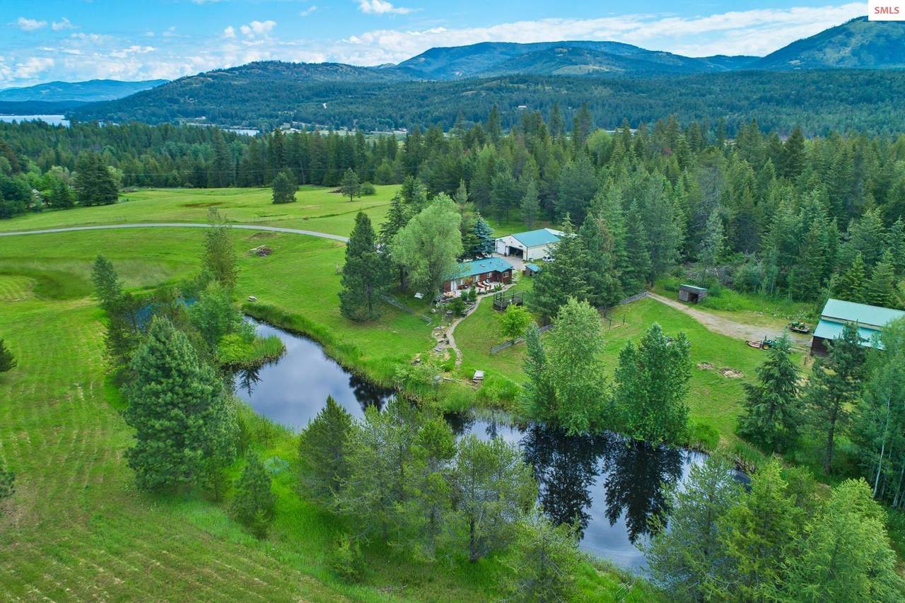 130 Black Bear Trail - Photo 1