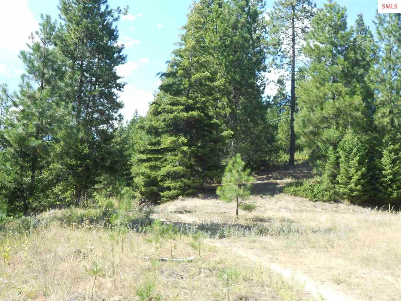 TBD Musket Lane - Photo 1