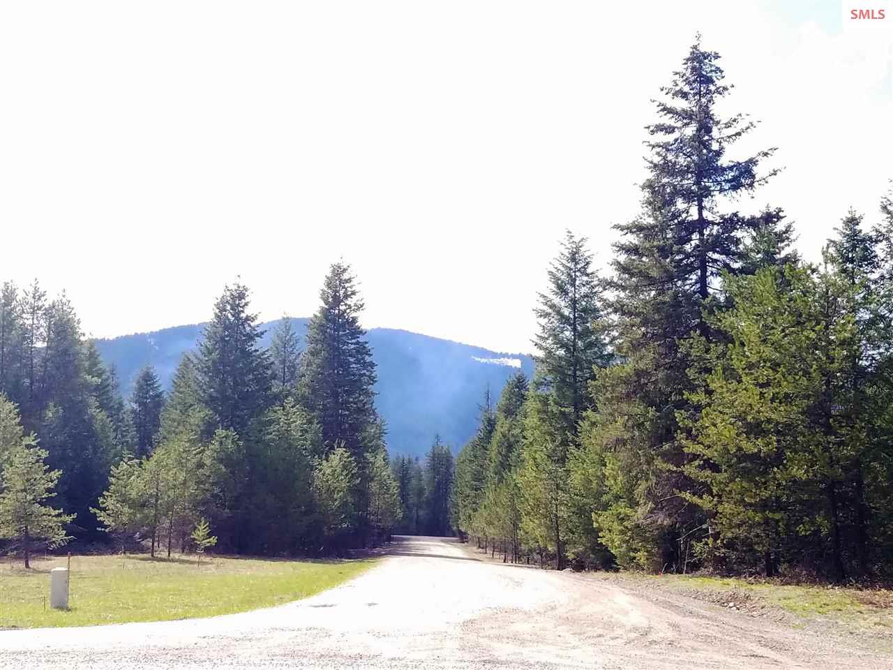 Lot 4 Derr Rd - Photo 1