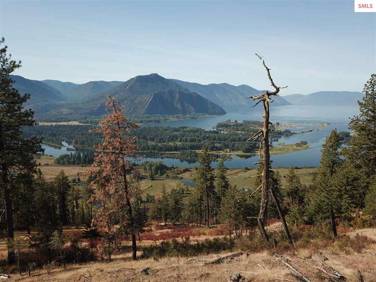 4 Majestic Mountain Rd. - Photo 1