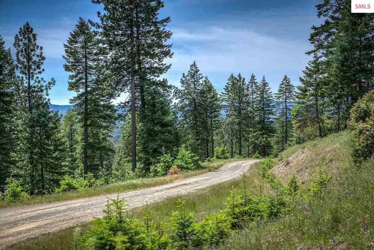 NKA Outlaw Canyon Rd. - Photo 1