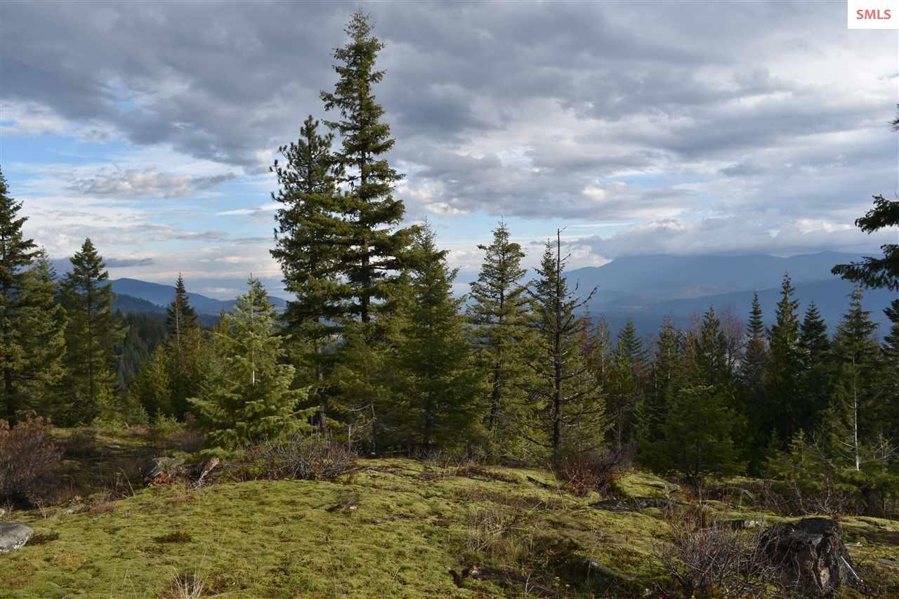 NNA Grizzly Gap Rd A - Photo 1