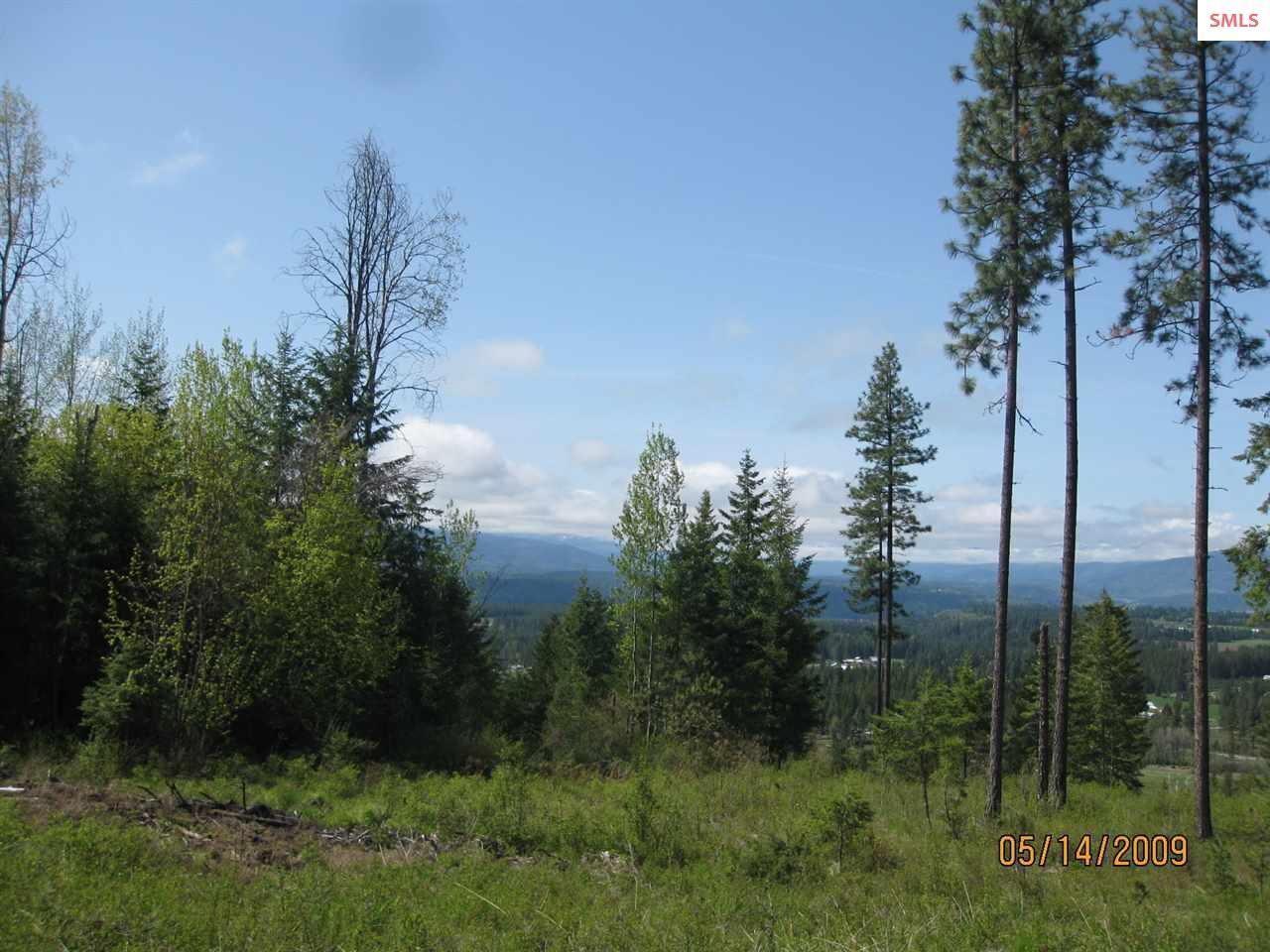 LOT 21 Pintail Drive - Photo 1