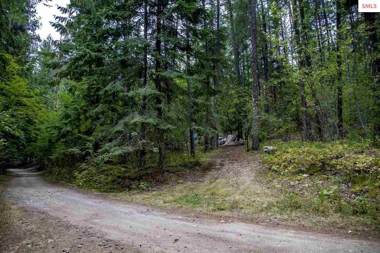 104 Cedar Dr - Photo 1