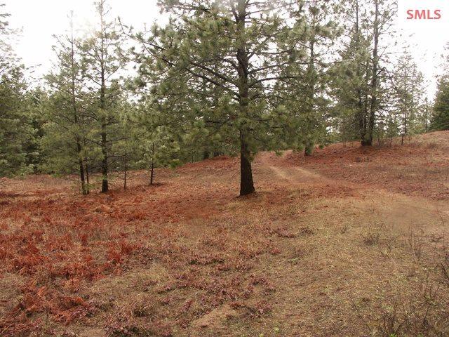 Lot 5 Pinnacle Circle - Photo 1
