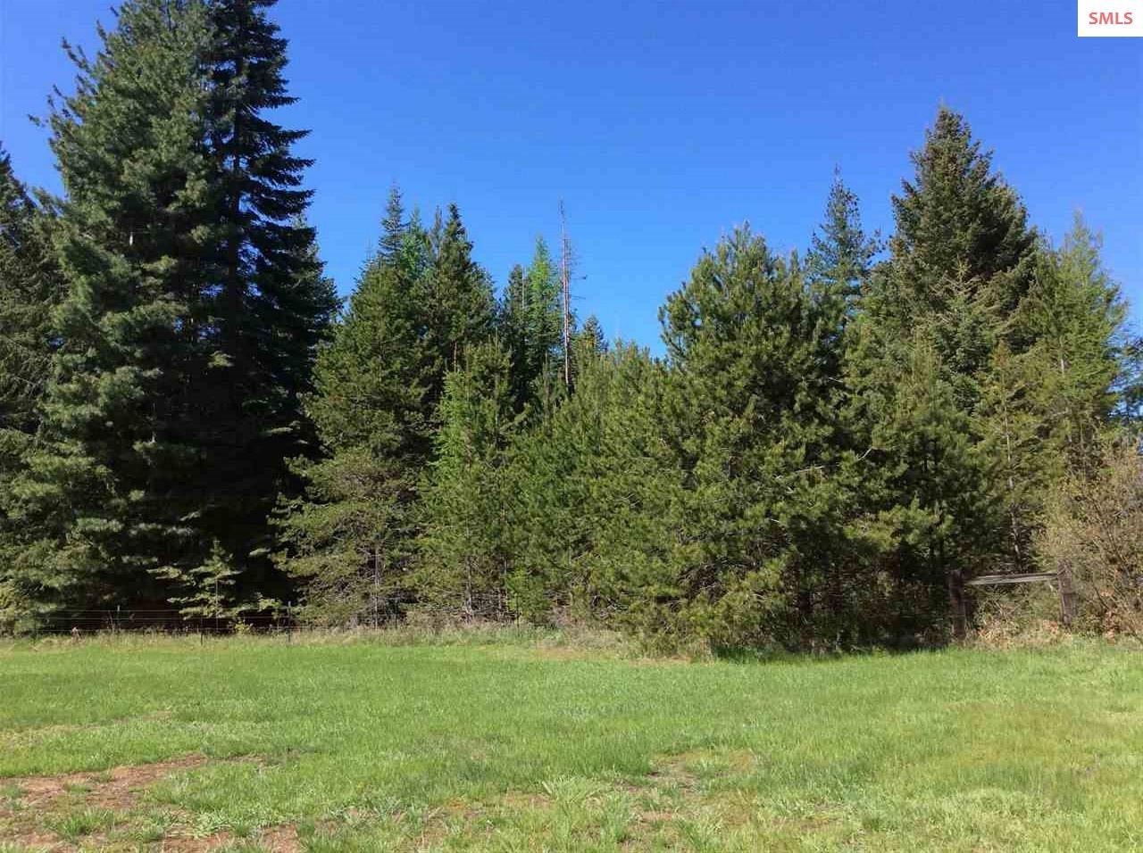 823 Lost Mile Road - Photo 1