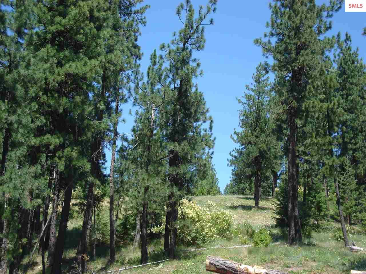 NNA S. Bobsled Trail - Photo 1