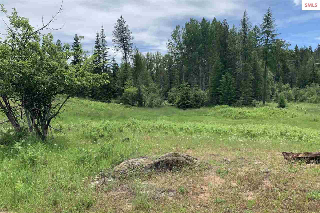 729 Merril Martin Rd - Photo 1
