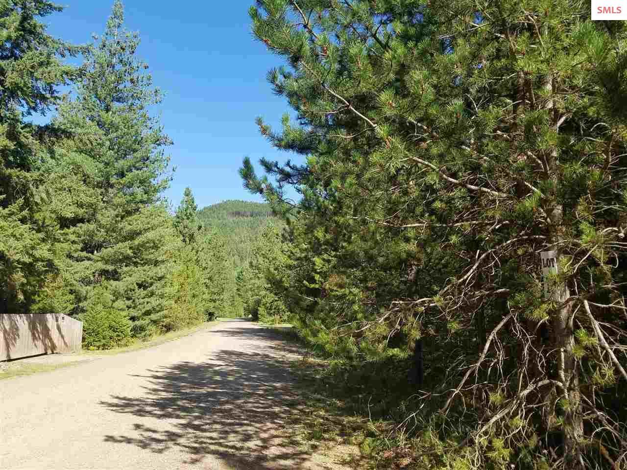 Lot 13 Bear Claw Rd - Photo 1