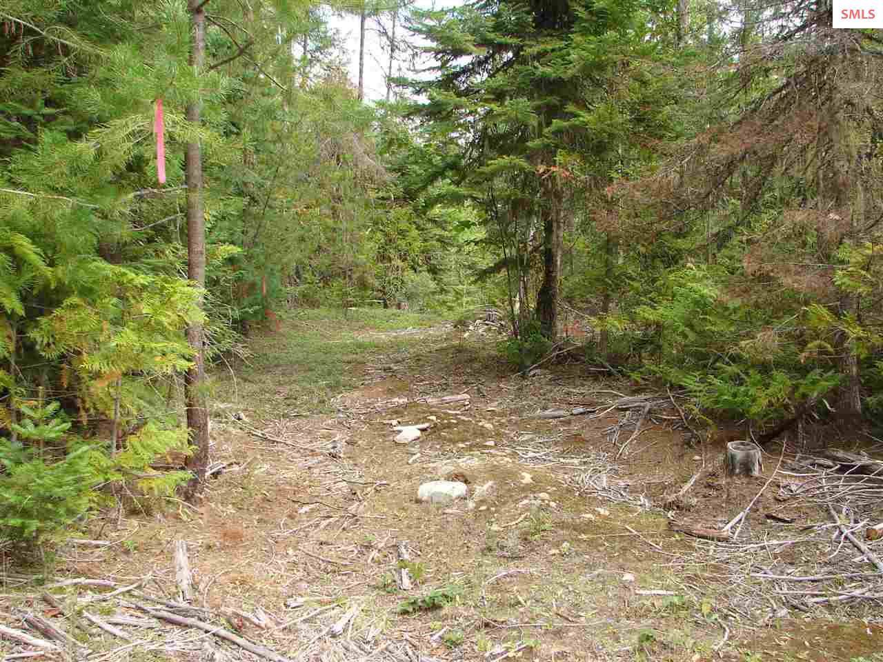 NNA Icicle Lane - Photo 1