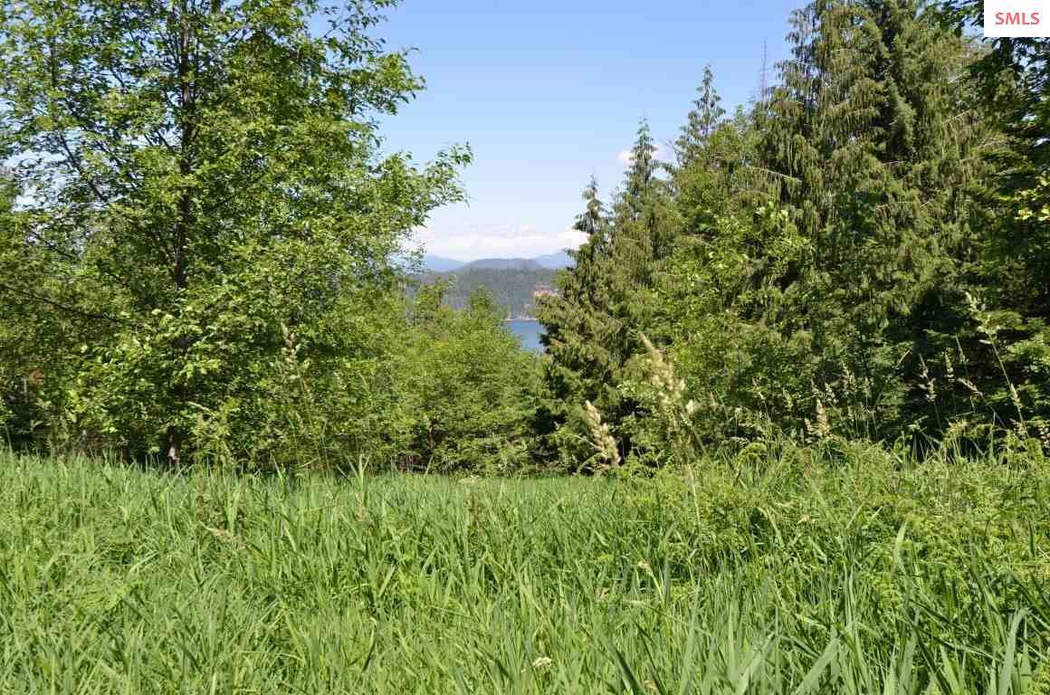NNA Harlanãƒâ¢Ã‚‚¬Ã‚„¢S Trail Lot 1 - Photo 1