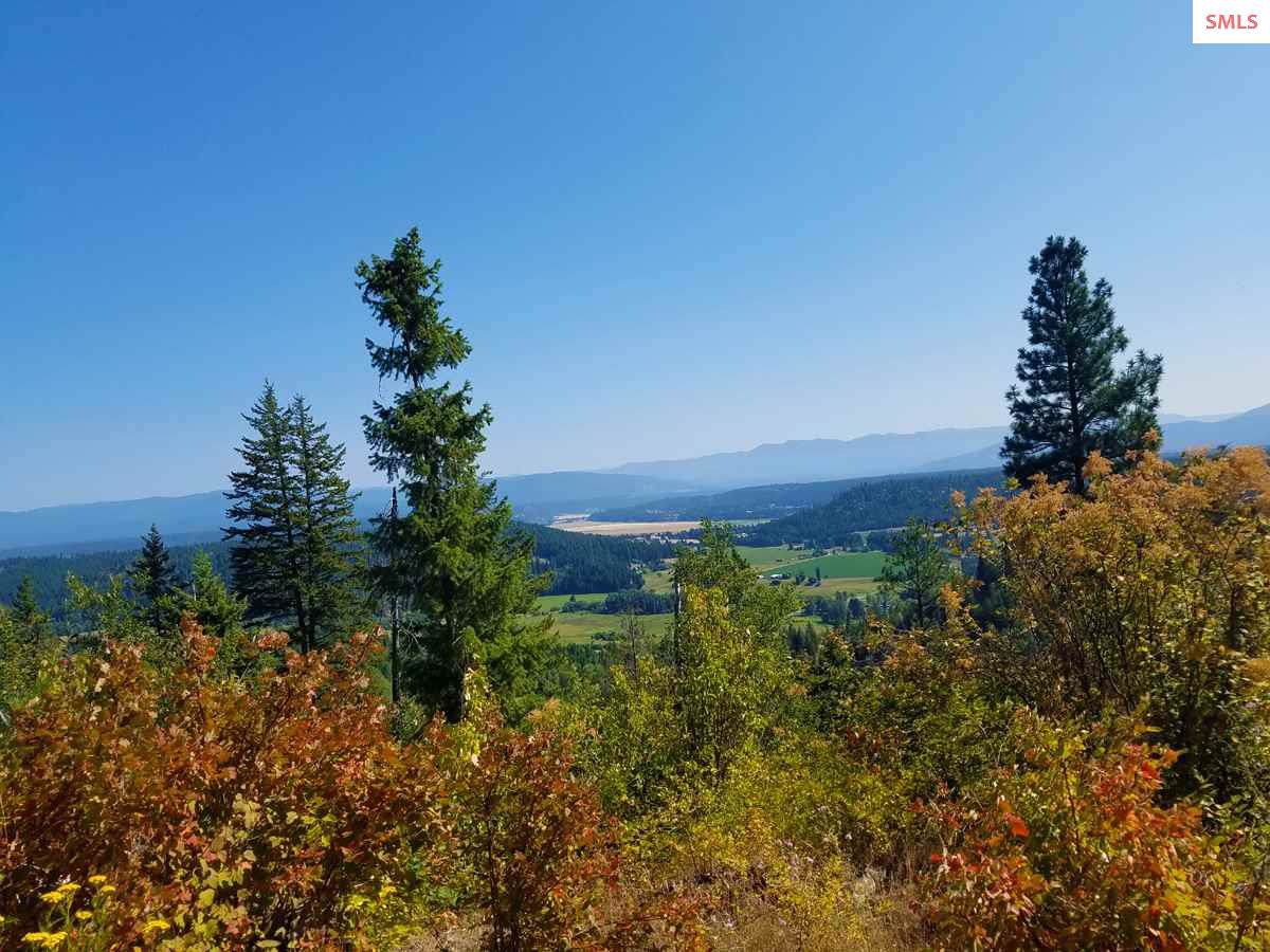 10 Juniper - Photo 1
