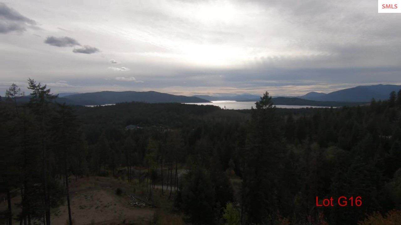 nna G16 Forest Highland - Photo 1