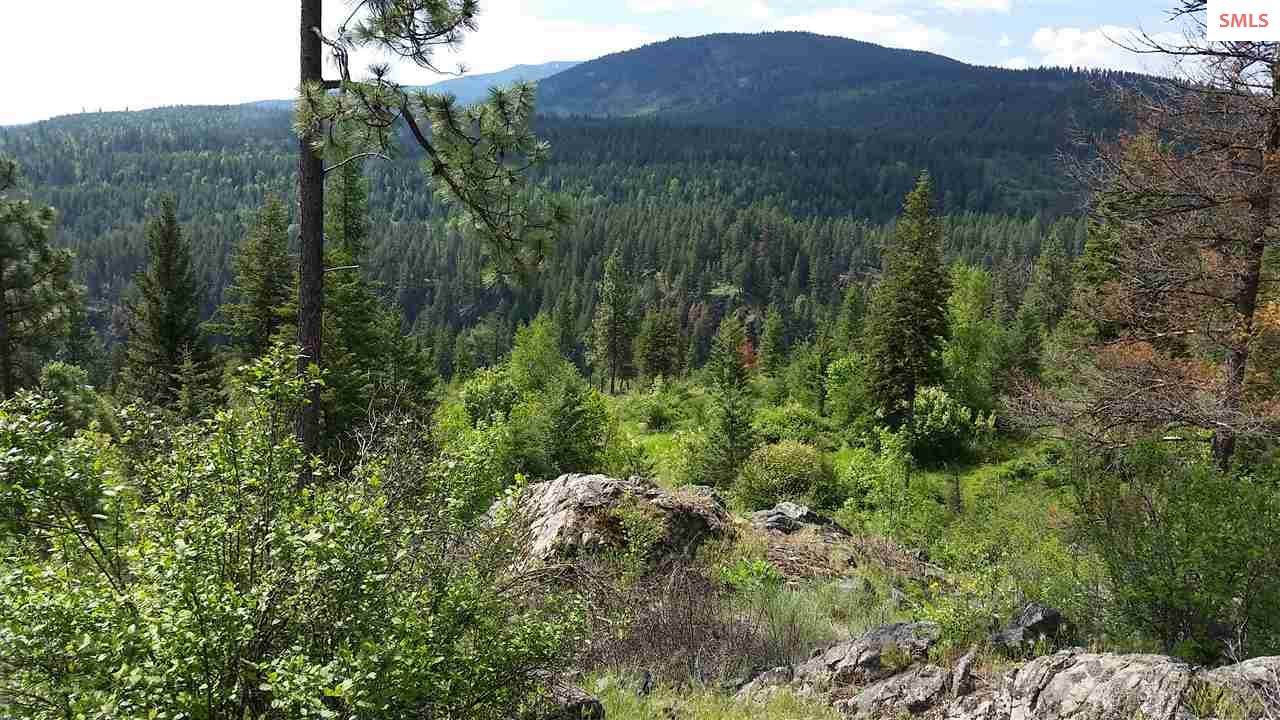 443 Tall Timber Rd - Photo 1