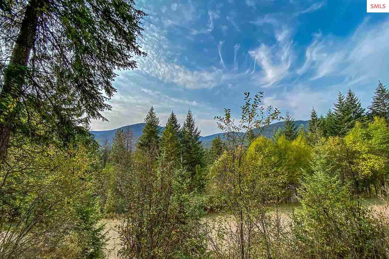 Lot 2 Block 2 Bear Claw Road - Photo 1