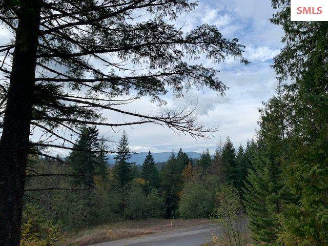 NNA F13 Idaho Club Drive - Photo 1