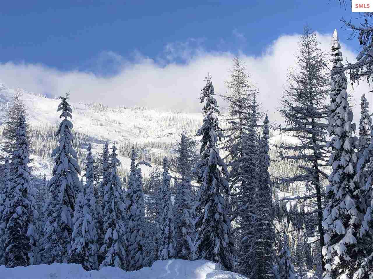 NNA Mogul Hill Rd. - Photo 1