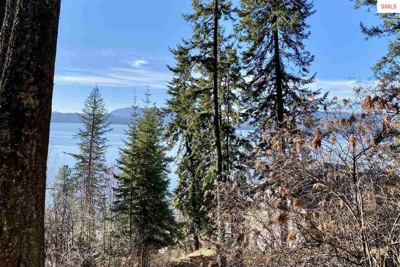 NNA Winter Ridge Road - Photo 1